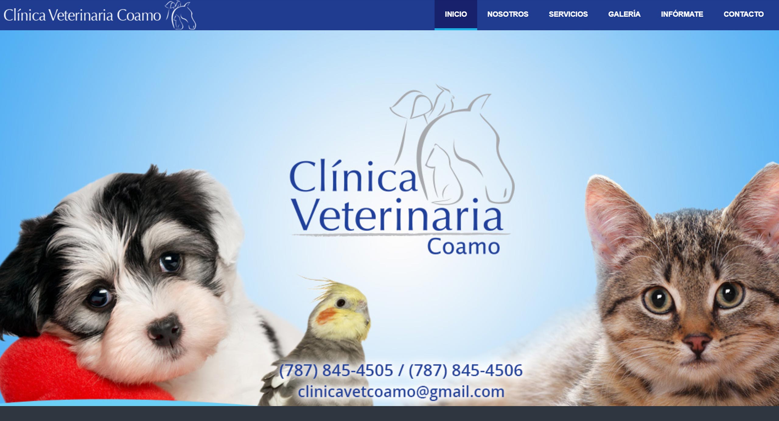 portfolio Clínica Veterinarios Coamo